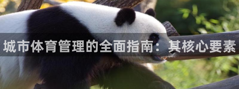 必一体育下载意思：城