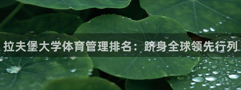 必一体育下载义：拉夫