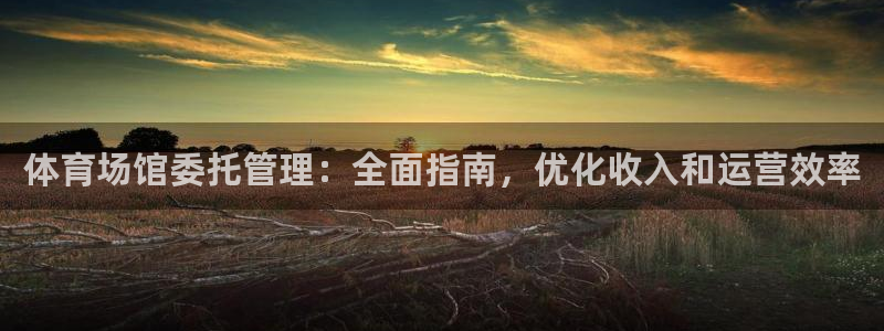 b体育官网下载入口a