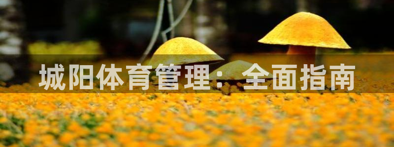 必一体育在线入口：城