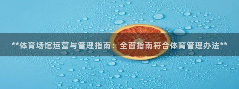 必一体育官网网址：*