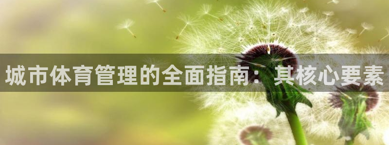 必一体育app官方：