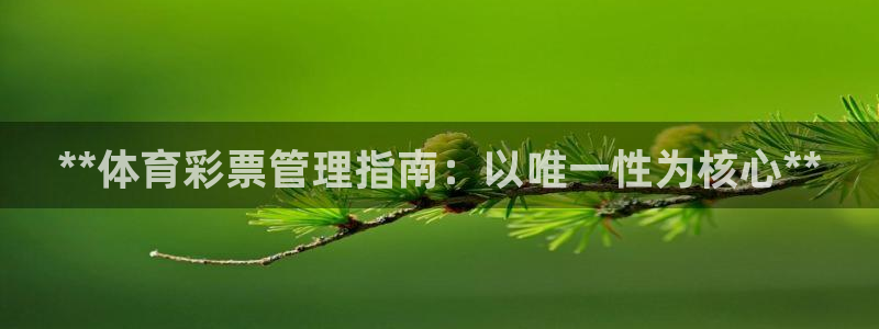 必一体育在线入口：*