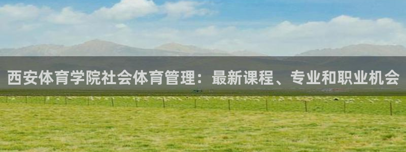 必一体育最新官网入口