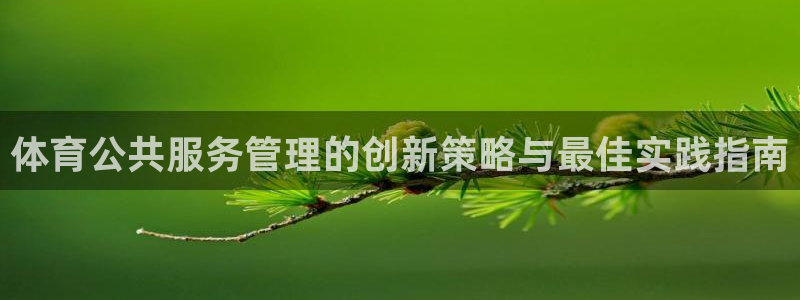 必一体育官网网址：体