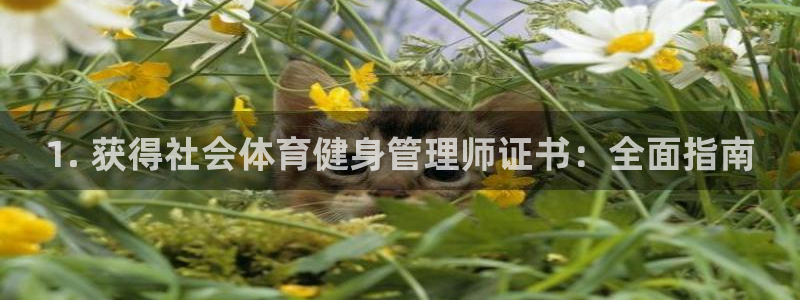 必一体育APP：1.