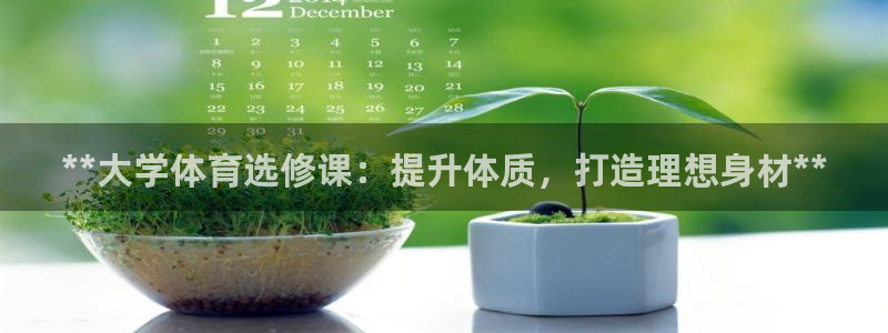 必一体育全站在线登录