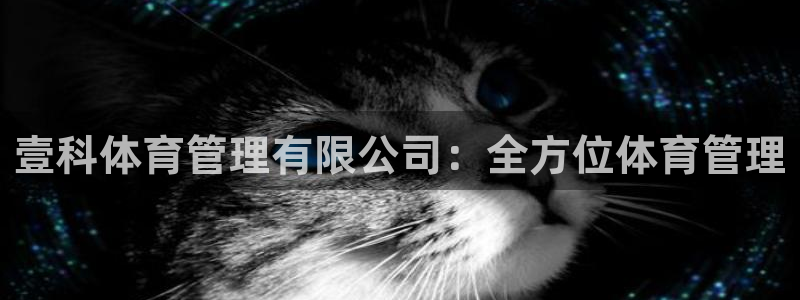 必一体育运动app下