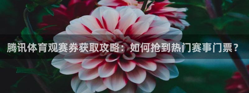 必一体育sport网