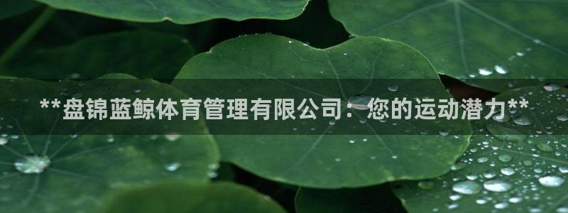 必一体育官网网址：*