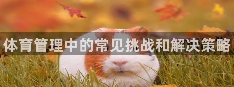 必一体育运动平台官网