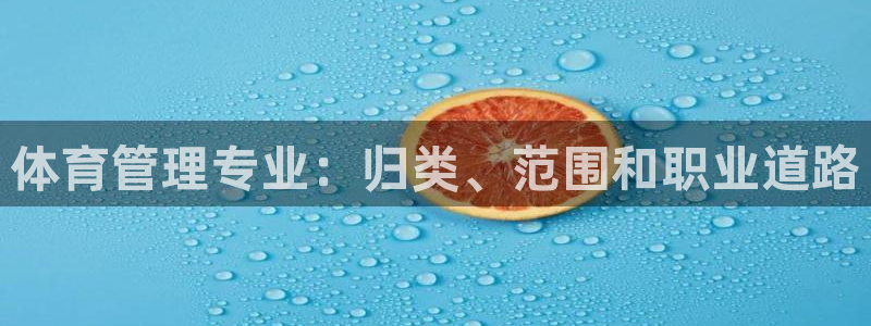 必一体育网页版登录：