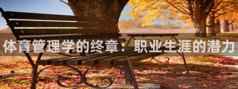 必一体育app官方正