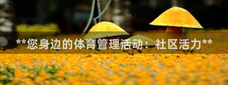 必一体育sport：