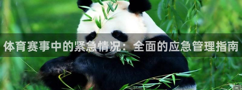 必一体育app官方网