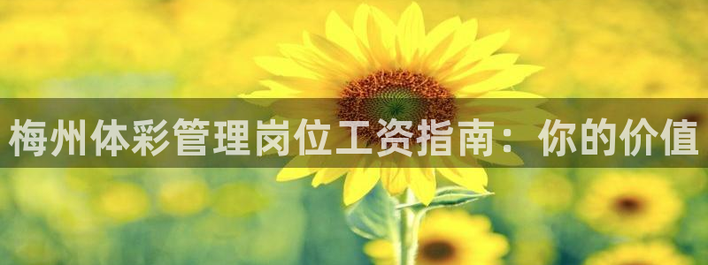 必一体育sport官