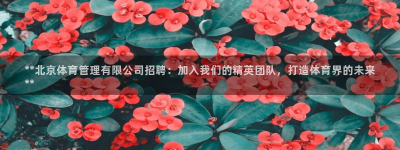 必一体育在线玩：**