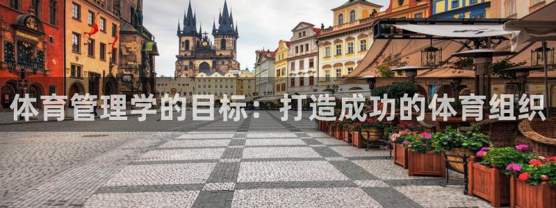 必一体育app官方网