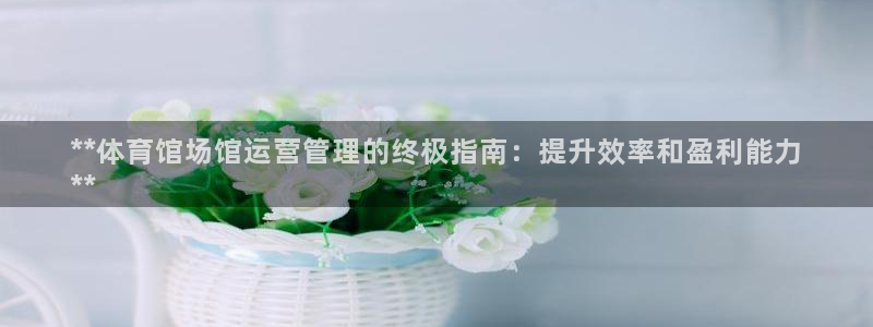 必一运动 b 体育素