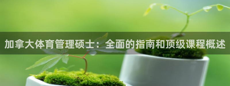 必一体育游戏特色：加