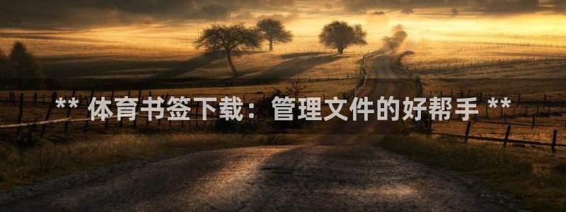 必一运动 b 体育素