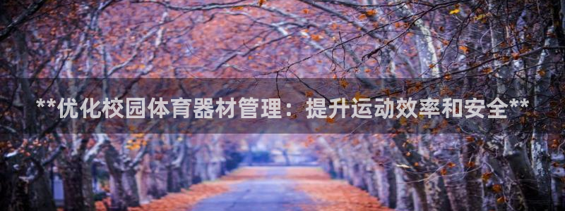 必一体育官网ios下