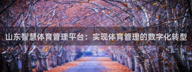 必一体育服下载最新版