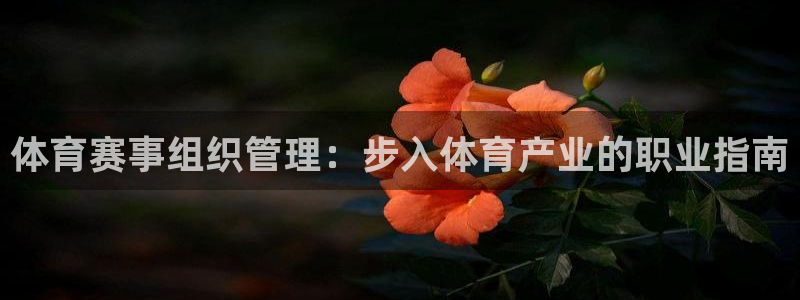 必一运动听的歌：体育