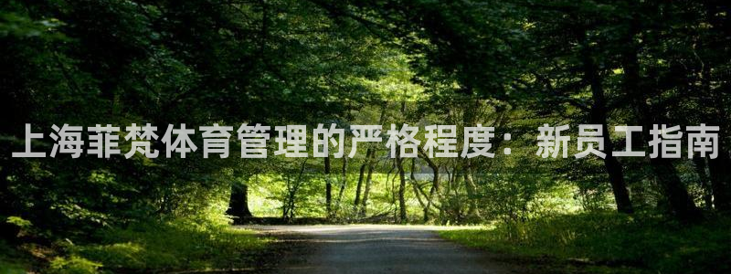 必一运动体育app：