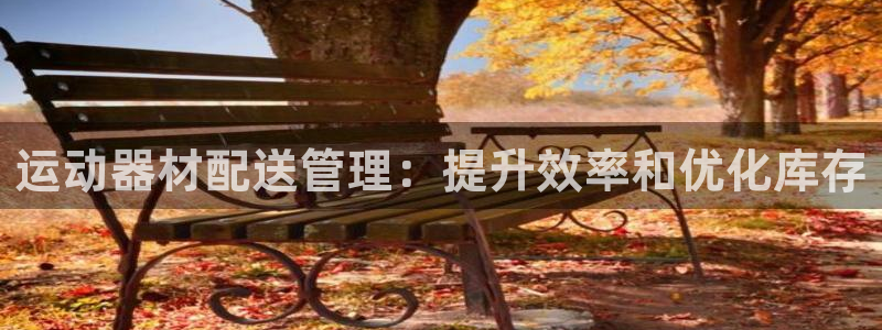 必一体育网站：运动器