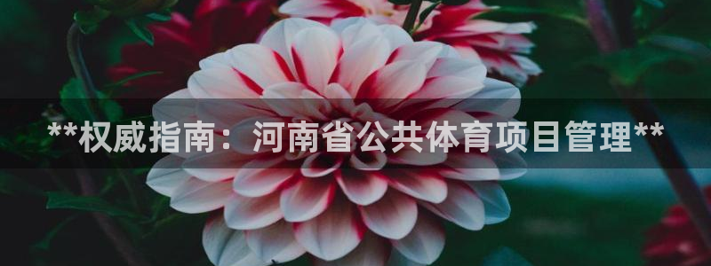 必一体育验证码：**