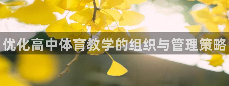 必一体育下载义：优化