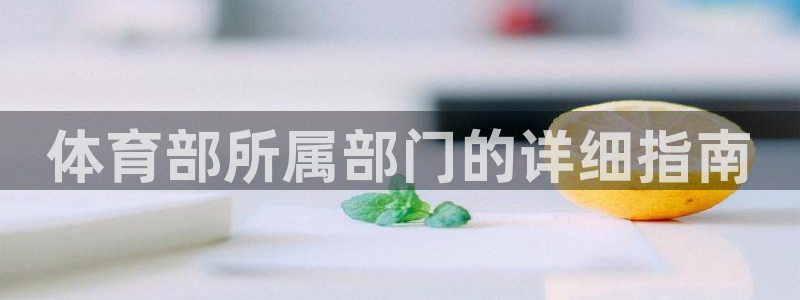 必一体育sport装