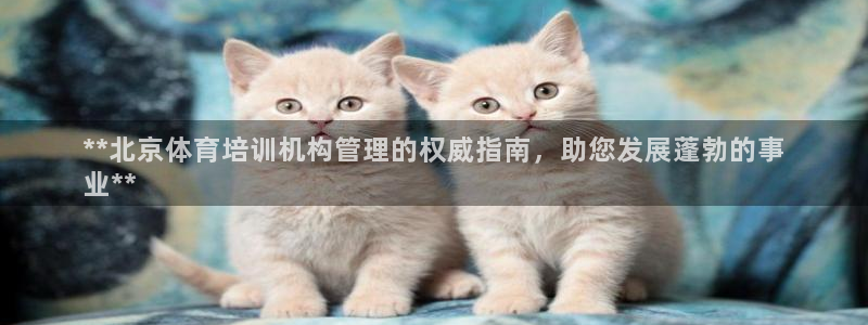 必一体育APP：**