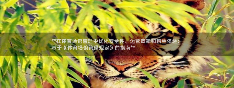 必一体育登录APP下