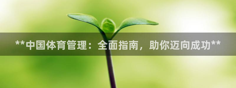 必一体育APP：**