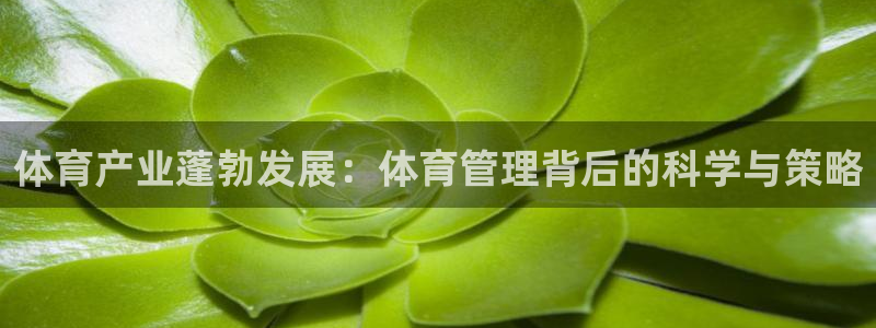 必一运动：体育产业蓬