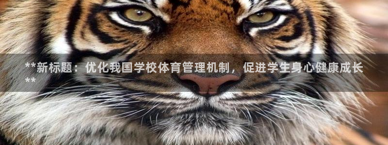 必一体育运动平台官网