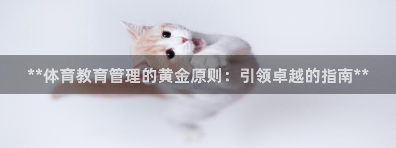 必一体育app平台下