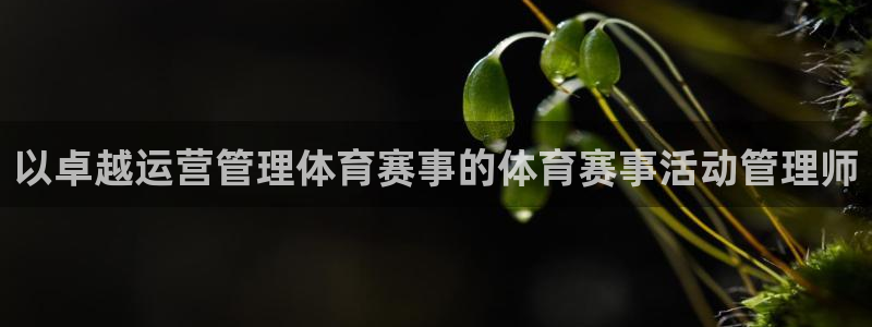 必一体育APP：以卓