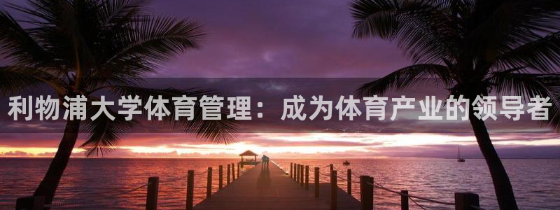 必一体育sport网