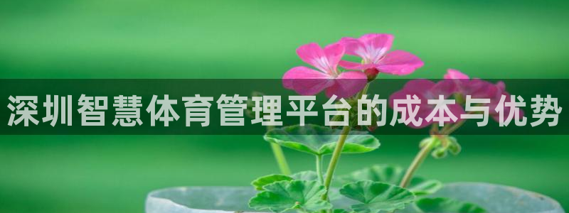 必一体育能提现大金额