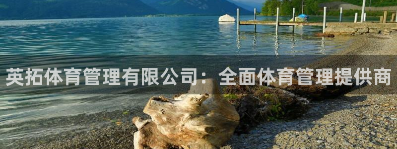 必一体育app官方网