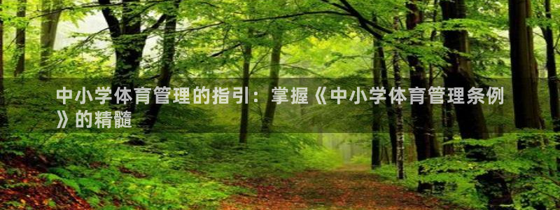 必一体育app官方网