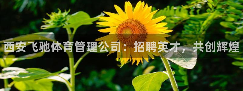 必一运动官网装机吧：