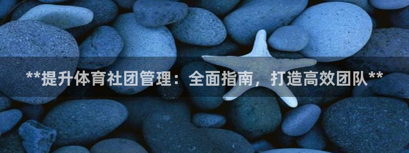 必一体育最新官网入口