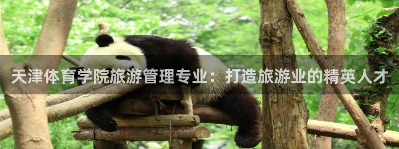 必一体育运动下载：天