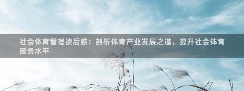 必一体育官方网站入口