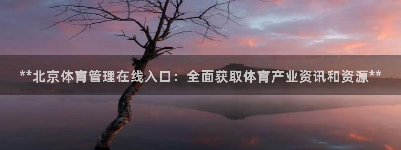 必一体育sport官