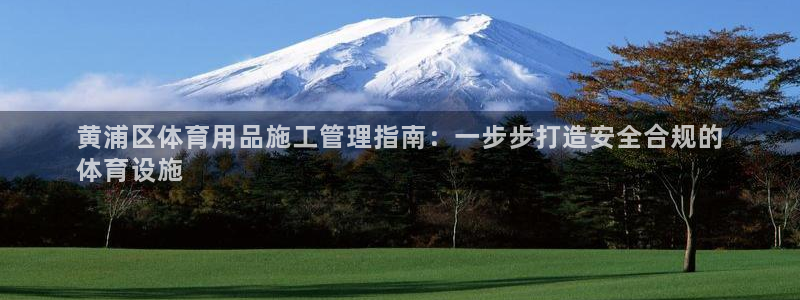 必一体育手机下载：黄